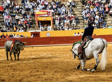 LA TERNA DE CABALLEROS DE A OREJA