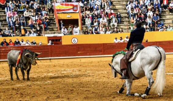 LA TERNA DE CABALLEROS DE A OREJA