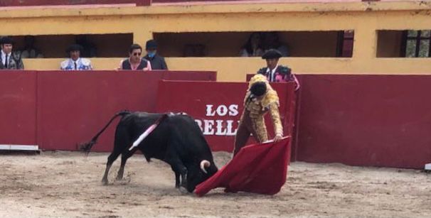 JUAN GOMEZ “DINASTIA”  A  ESPAÑA