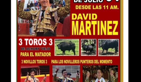 DAVID MARTINEZ CELEBRA 6 AÑOS DE SU ALTERNATIVA