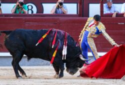 CUMBRE DE “EMILIO DE JUSTO” EN LAS VENTAS