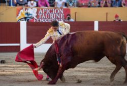 TOROS…TOROS PARA HOMBRES…HOMBRES