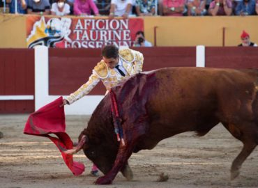 TOROS…TOROS PARA HOMBRES…HOMBRES