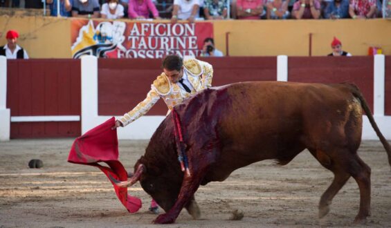 TOROS…TOROS PARA HOMBRES…HOMBRES