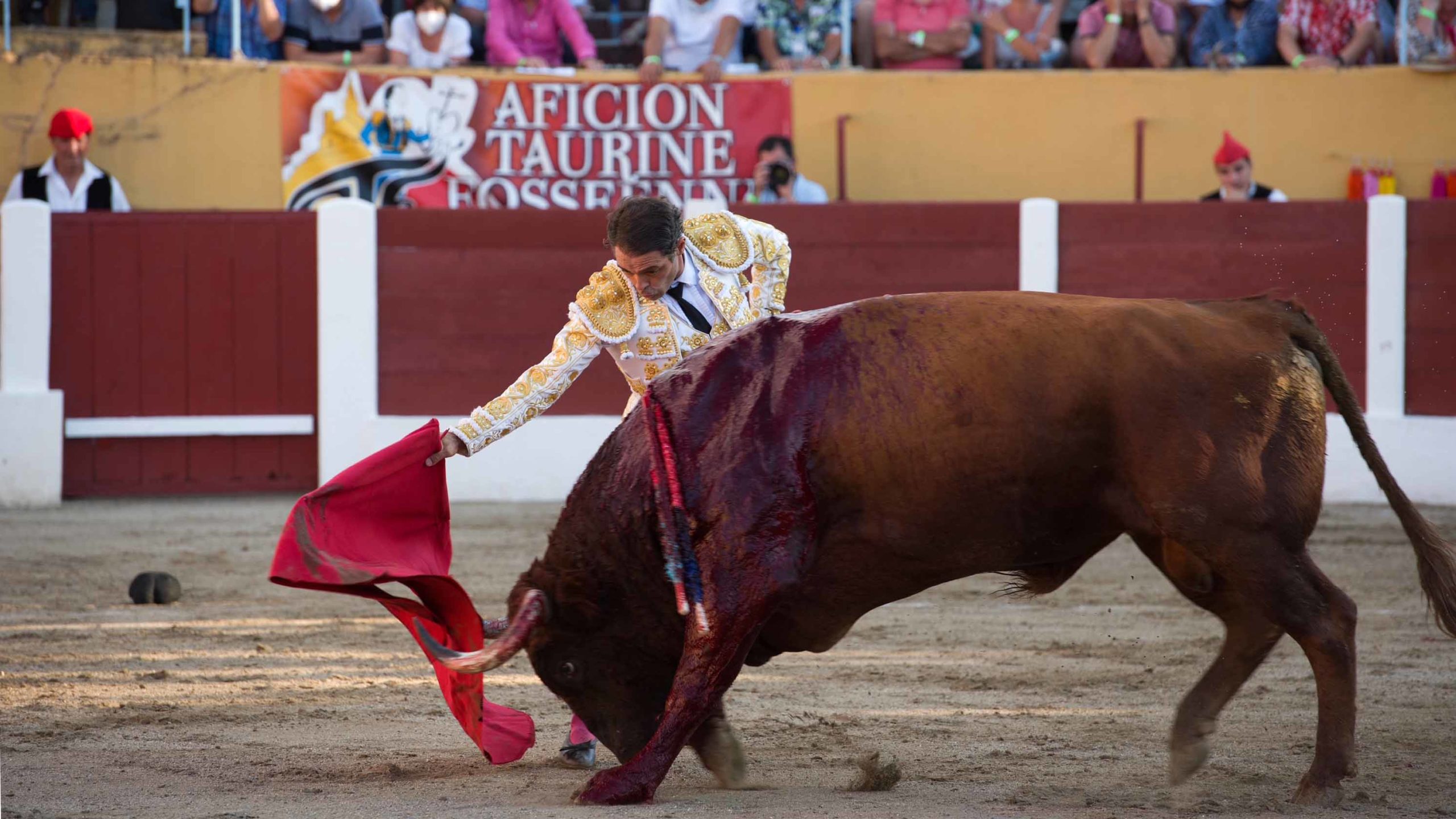 TOROS…TOROS PARA HOMBRES…HOMBRES