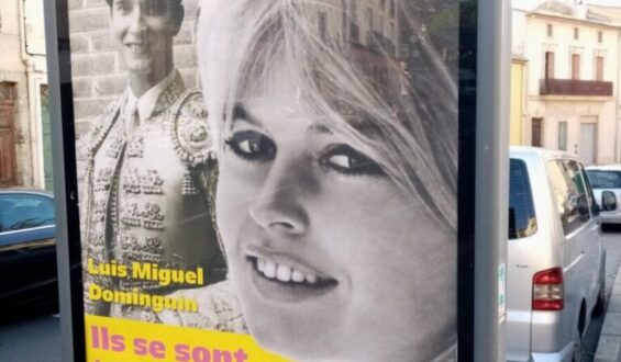 FUNDACION BRIGITTE BARDOT EN CONTRAVIA