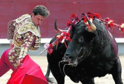 DANIEL LUQUE Y JUAN ORTEGA, BUEN TRIUNFO EN EL PUERTO DE SANTAMARIA