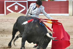 TORERIA Y CASTA EN COLMENAR VIEJO