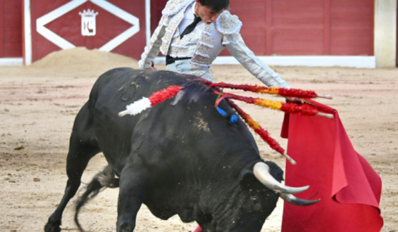 TORERIA Y CASTA EN COLMENAR VIEJO