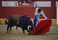 TRIUNFAL CORRIDA MIXTA EN INIESTA