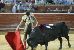 CORRIDA DE TORRESTRELLA ABULICA Y SIN TRANSMISIÓN EN HUELVA