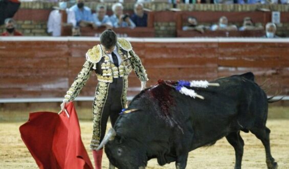 CORRIDA DE TORRESTRELLA ABULICA Y SIN TRANSMISIÓN EN HUELVA