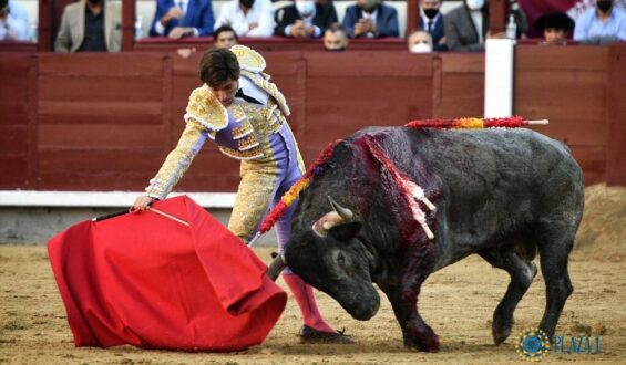 ALBERTO LAMELAS LO MÁS TAURINO