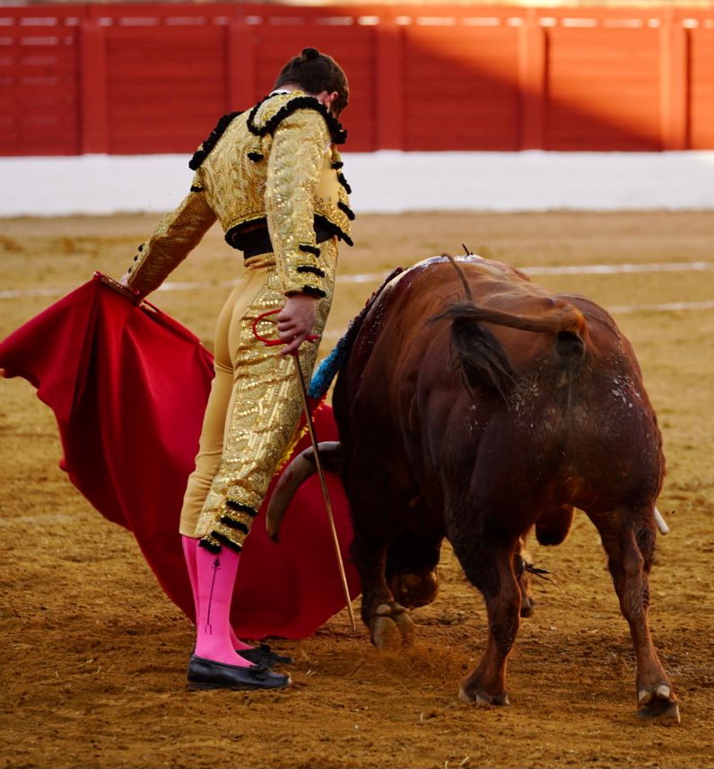 SINOPSIS DE FERIAS