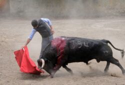 SEBASTIAN CAQUEZA UN TORERO CON VIRTUDES PERO SIN OPORTUNIDADES