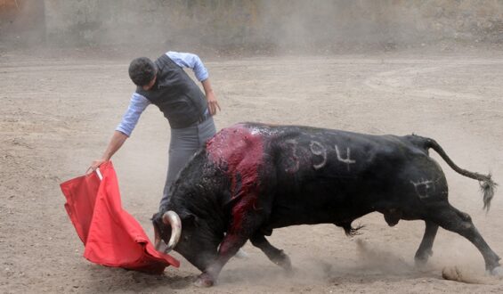 SEBASTIAN CAQUEZA UN TORERO CON VIRTUDES PERO SIN OPORTUNIDADES