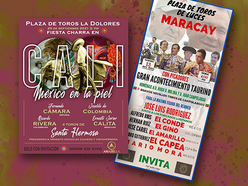 FESTIVALES EN CALI Y MARACAY