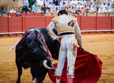 VOLVIERON LOS TOROS A SEVILLA!!!