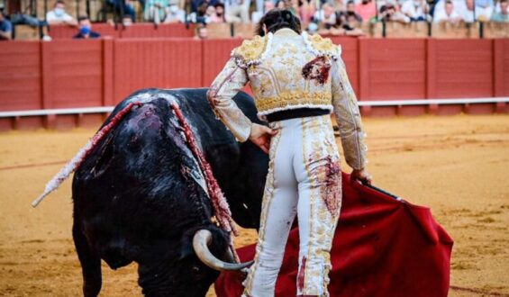 VOLVIERON LOS TOROS A SEVILLA!!!