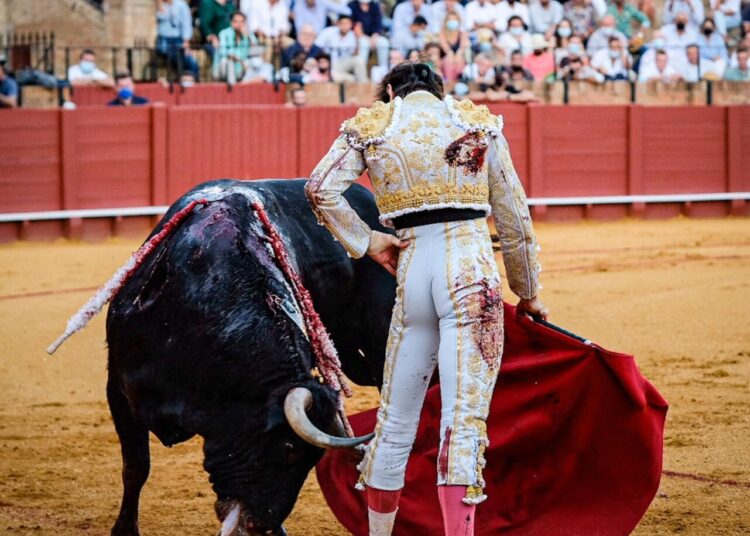 VOLVIERON LOS TOROS A SEVILLA!!!