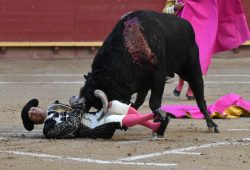 “LEANDRO” VUELTA Y OREJA