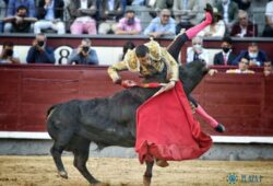 NI JANDILLAS NI VICTORIANO DEL RIO EN LAS VENTAS