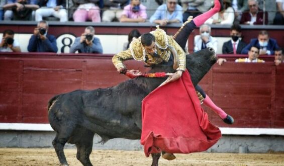 NI JANDILLAS NI VICTORIANO DEL RIO EN LAS VENTAS