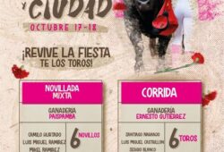 CARTELES DE LUJO TENDRA MANIZALES PARA SU FERIA