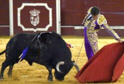 GINES MARIN OBNUBILÓ CON SU TOREO A MADRID