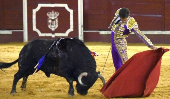 GINES MARIN OBNUBILÓ CON SU TOREO A MADRID