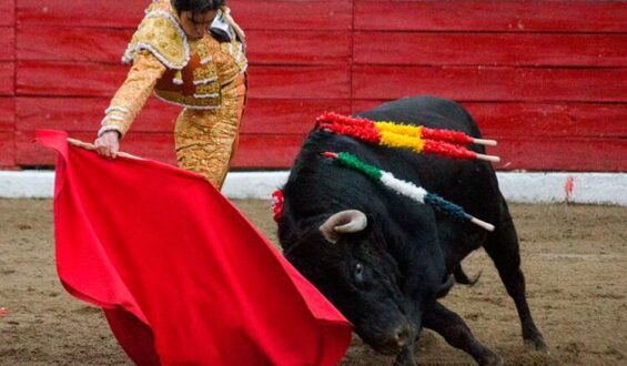 UN GRAN TORO PARA UN GRAN TORERO