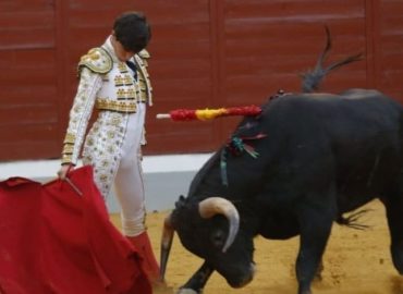 FESTEJOS SIN PICADORES VAN CERRANDO TEMPORADA ESPAÑOLA