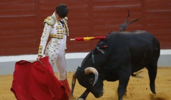 FESTEJOS SIN PICADORES VAN CERRANDO TEMPORADA ESPAÑOLA