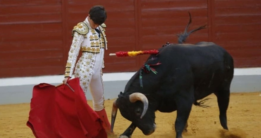 FESTEJOS SIN PICADORES VAN CERRANDO TEMPORADA ESPAÑOLA