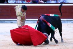 INOBJETABLE TRIUNFO DEL MEXICANO A. ADAME CON NOVILLO DE SALENTO PREMIADO CON LA VUELTA AL RUEDO