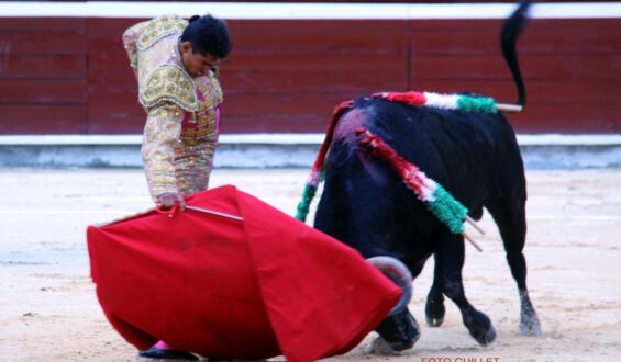 INOBJETABLE TRIUNFO DEL MEXICANO A. ADAME CON NOVILLO DE SALENTO PREMIADO CON LA VUELTA AL RUEDO