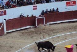 FERIA DE “NUESTRA SEÑORA DE LA MERCED”