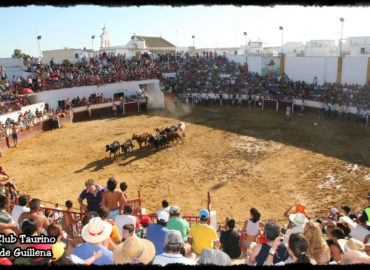 GUILLENA 1ª EN ANDALUCIA