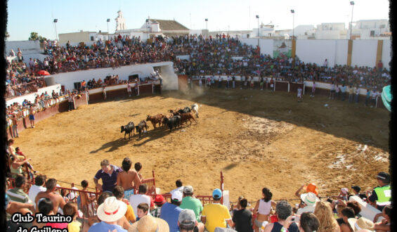 GUILLENA 1ª EN ANDALUCIA