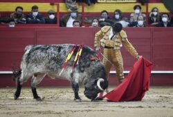 TOREO DE REGUSTO EN VALDEMORILLO