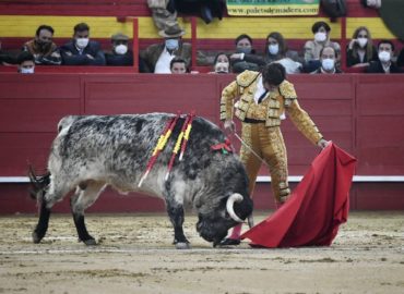 TOREO DE REGUSTO EN VALDEMORILLO