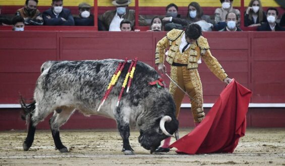 TOREO DE REGUSTO EN VALDEMORILLO