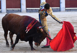 SEBASTIAN RITTER EN ALÉS