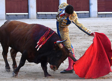 SEBASTIAN RITTER EN ALÉS