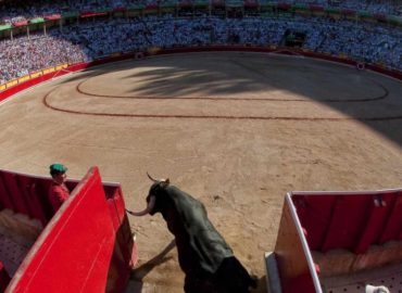 FIGURONES EN PAMPLONA