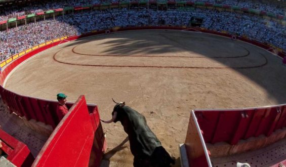 FIGURONES EN PAMPLONA