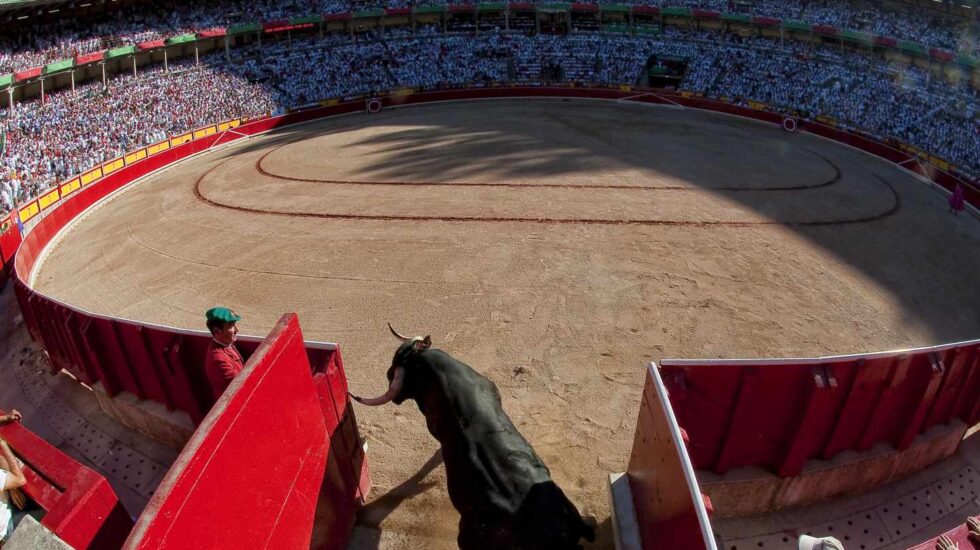 FIGURONES EN PAMPLONA