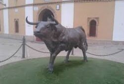 REJONES EN CALATAYUD