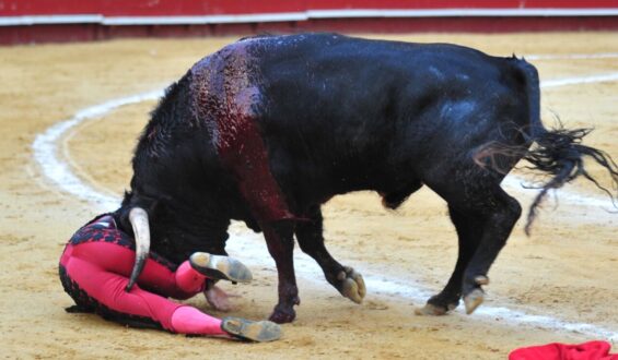 D.URDIALES Y EL CECI SE RECUPERAN