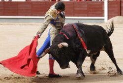 CURRO DIAZ… VUELTA EN MADRID